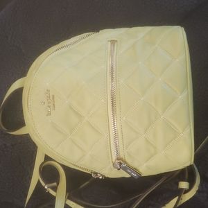 Kate Spade backpack, Frosty Lime, leather, used one time